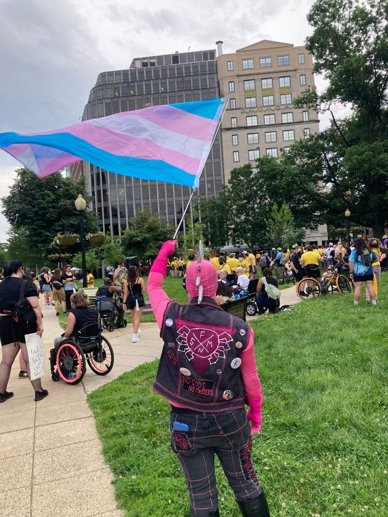 Spider-Punk (pink color palette) cosplayer waves transgender flag in an urban park. The Spider-Punk logo on the back of their vest is superimposed on a large glittery pink triangle. Their back is turned